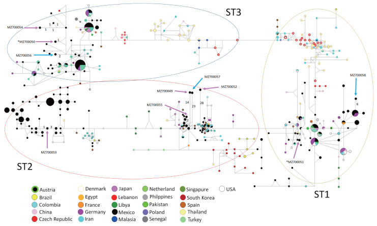 Unexpected Presence of Blastocystis Subtype 1-3 DNA in Human Vaginal and Sperm Samples Coinfected with Trichomonas vaginalis.