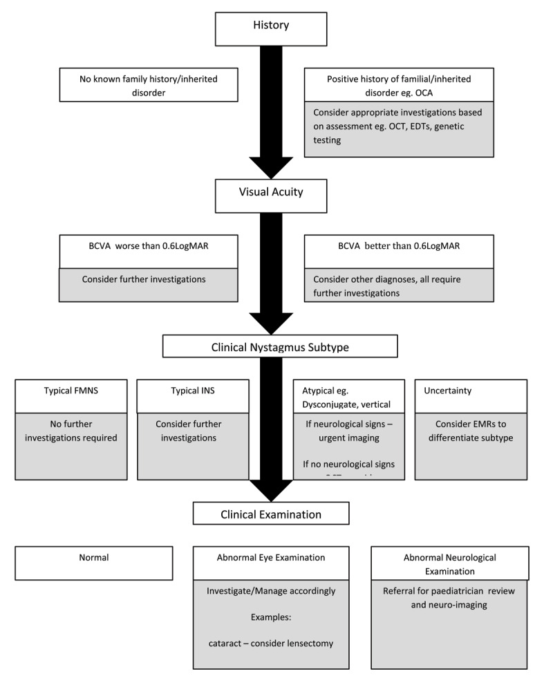 Nystagmus in Down Syndrome - a Retrospective Notes Review.