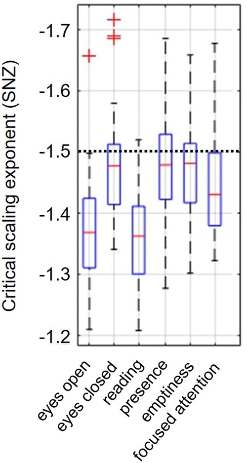 Determining states of consciousness in the electroencephalogram based on spectral, complexity, and criticality features.