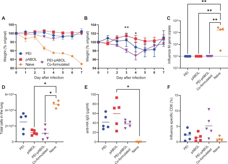 Polymer formulated self-amplifying RNA vaccine is partially protective against influenza virus infection in ferrets.
