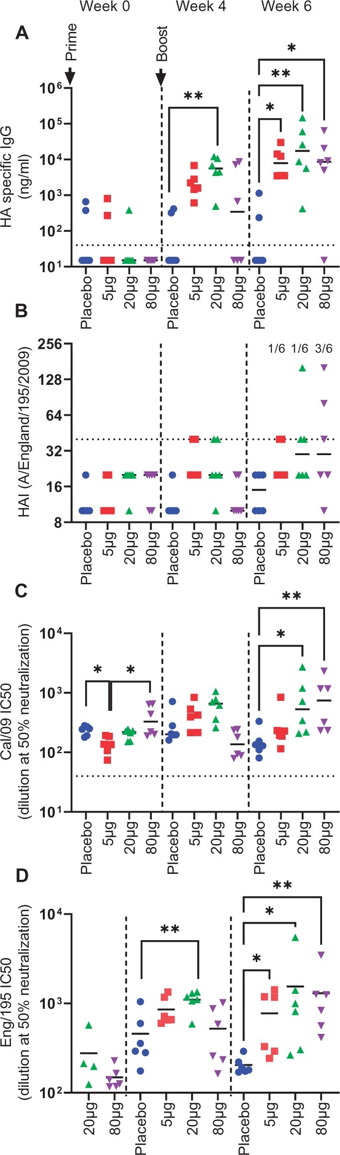 Polymer formulated self-amplifying RNA vaccine is partially protective against influenza virus infection in ferrets.