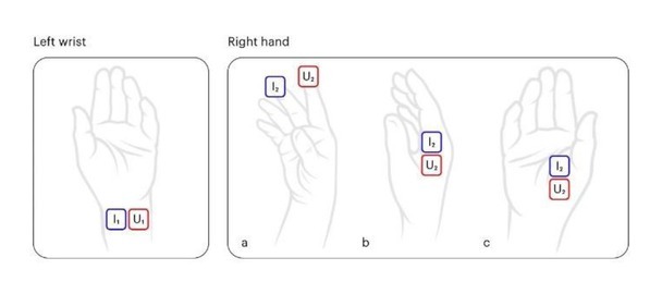 Validation of Non-empirical Fat-free Mass Estimation Model for a Wrist-worn Device.