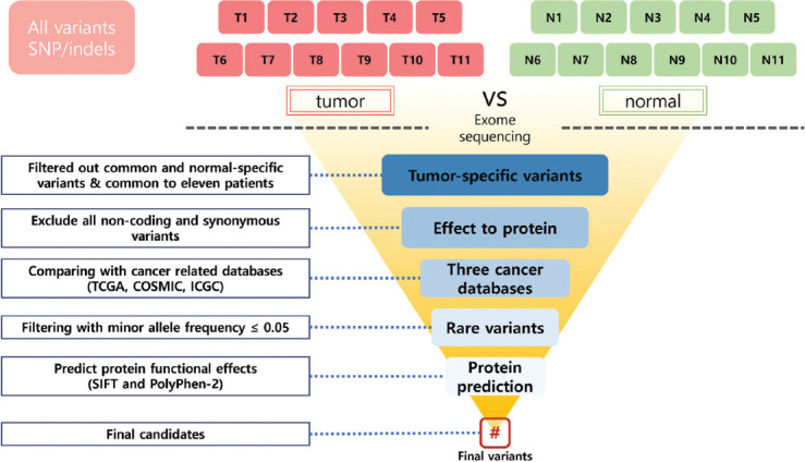 Whole-exome sequencing reveals rare genetic variations in ovarian granulosa cell tumor.