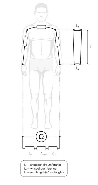 Validation of Non-empirical Fat-free Mass Estimation Model for a Wrist-worn Device.