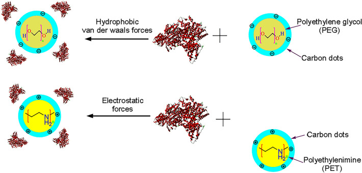 Application of non-metal nanoparticles, as a novel approach, for improving the stability of blood products: 2011-2021.