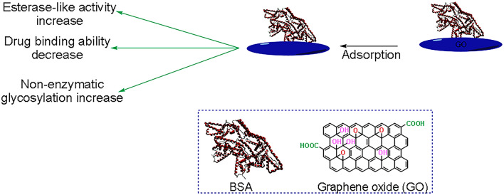 Application of non-metal nanoparticles, as a novel approach, for improving the stability of blood products: 2011-2021.