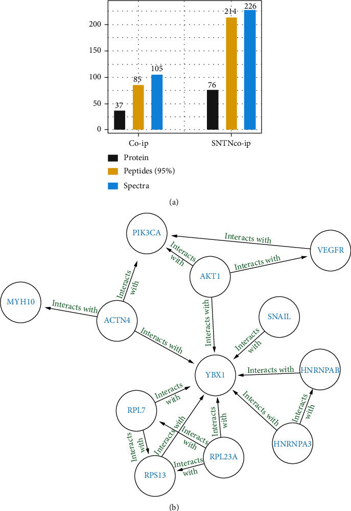 Sunitinib Reduced the Migration of Ectopic Endometrial Cells via p-VEGFR-PI3K-AKT-YBX1-Snail Signaling Pathway.