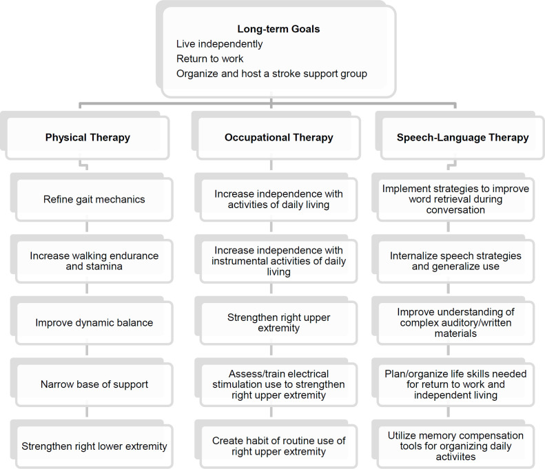 Implementing Team-Based Post-Stroke Telerehabilitation: A Case Example.