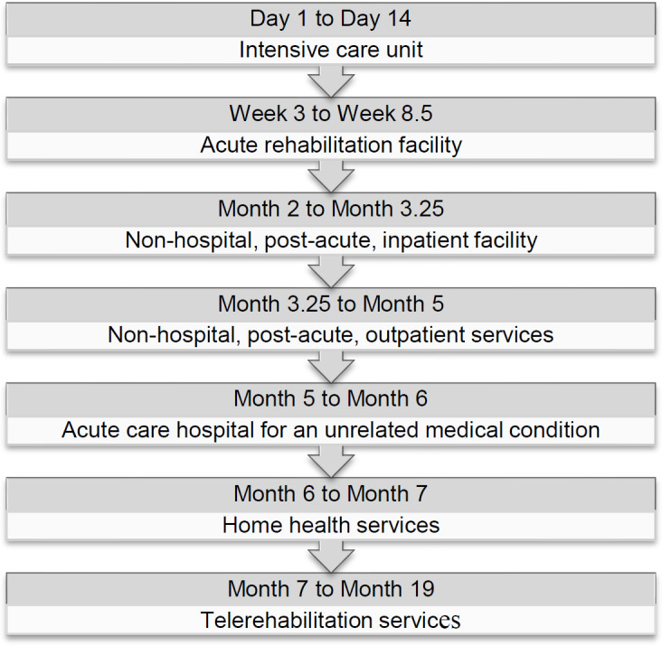 Implementing Team-Based Post-Stroke Telerehabilitation: A Case Example.