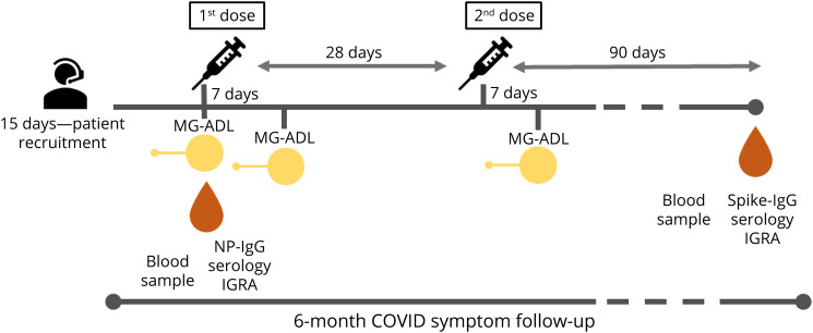 Immune Response and Safety of SARS-CoV-2 mRNA-1273 Vaccine in Patients With Myasthenia Gravis.