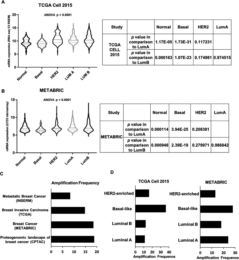 ECM1 is associated with endocrine resistance in ER<sup>+</sup> breast cancers.