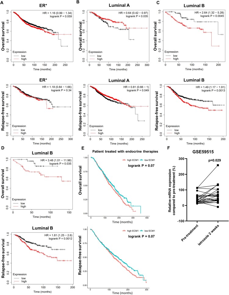 ECM1 is associated with endocrine resistance in ER<sup>+</sup> breast cancers.