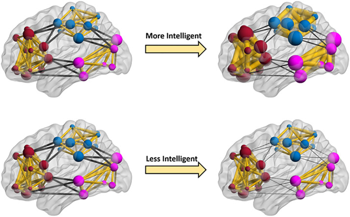 A mixed-modeling framework for whole-brain dynamic network analysis.