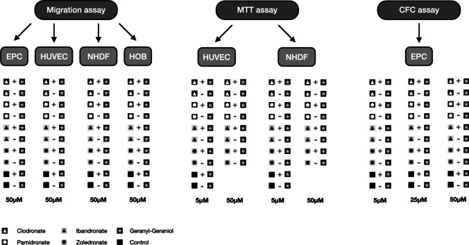 Geranyl-geraniol addition affects potency of bisphosphonates-a comparison in vitro promising a therapeutic approach for bisphosphonate-associated osteonecrosis of the jaw and oral wound healing.