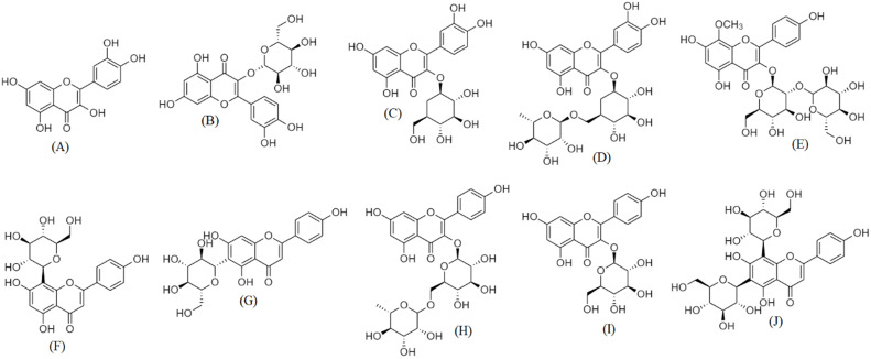 Is the Traditional Chinese Herb "Bombax Malabaricum" a Natural Anticancer Medicine?