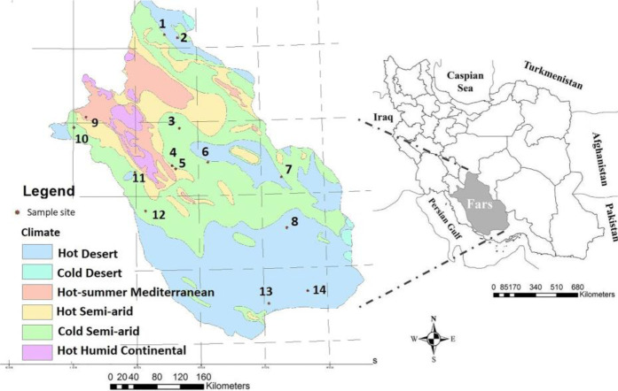 Bionomics of Phlebotomine Sand Flies in Different Climates of Leishmaniasis in Fars Province, Southern Iran.