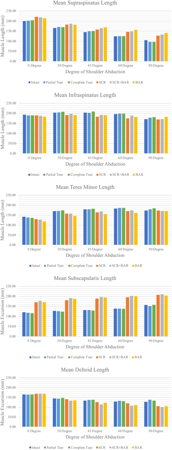 A Biomechanical Analysis of Shoulder Muscle Excursions During Abduction, After the Treatment of Massive Irreparable Rotator Cuff Tears Using Superior Capsular Reconstruction (SCR), Bursal Acromial Reconstruction (BAR), and SCR with BAR.