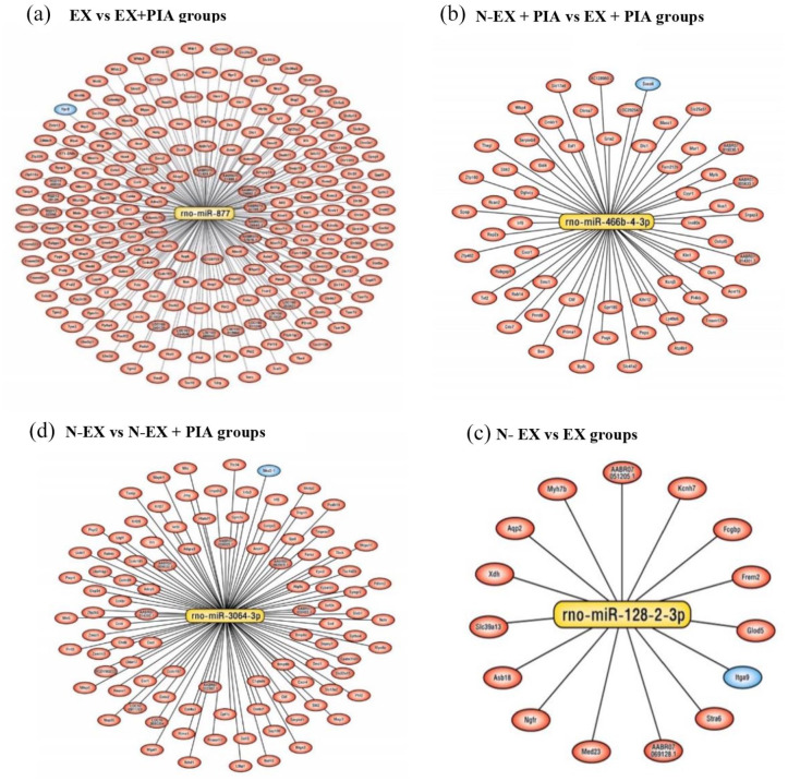 Regulation of mi-RNAs Target Cancer Genes Between Exercise and Non-exercise in Rat Rheumatoid Arthritis Induction: Pilot Study.