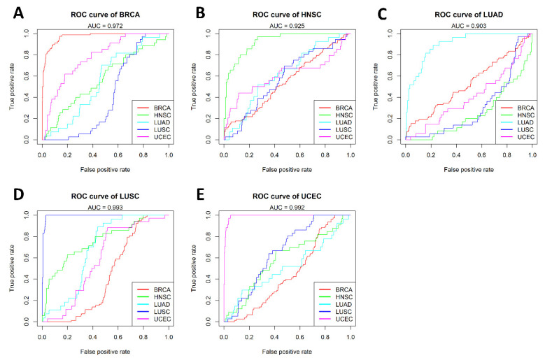 Epigenetic Signatures of Centrosomes Are Novel Targets in Cancer Diagnosis: Insights from an Analysis of the Cancer Genome Atlas.