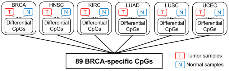 Epigenetic Signatures of Centrosomes Are Novel Targets in Cancer Diagnosis: Insights from an Analysis of the Cancer Genome Atlas.