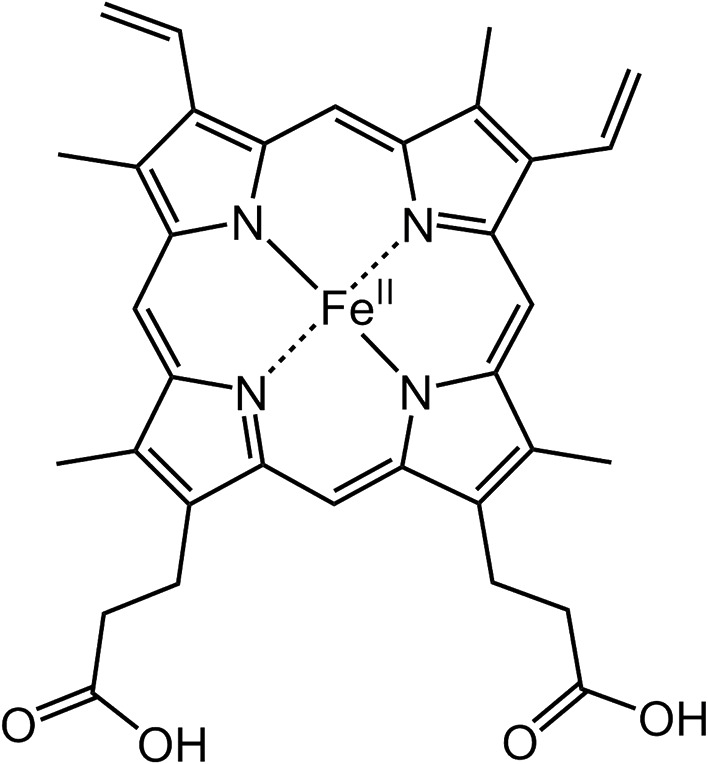 Diverse reactions catalyzed by cytochrome P450 and biosynthesis of steroid hormone.