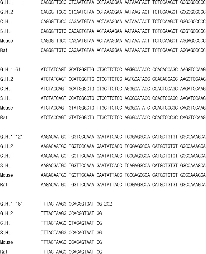 Expressions of Gonadotropin Subunit Genes in the Reproductively Inactive Golden Hamsters.