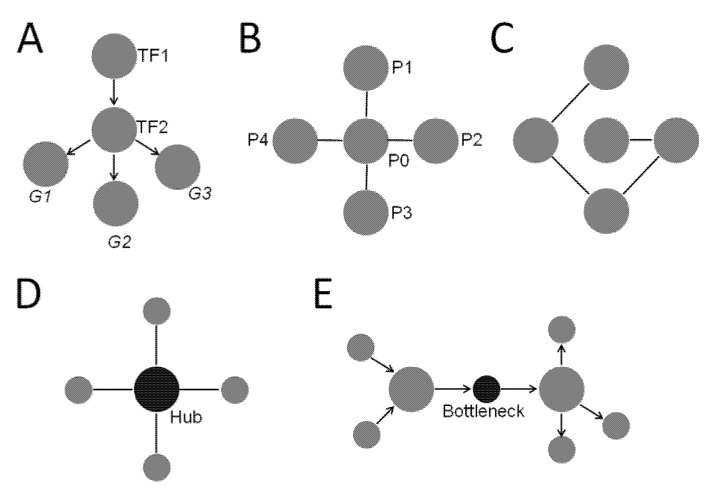 Adipokines in Sleep Disturbance and Metabolic Dysfunction: Insights from Network Analysis.