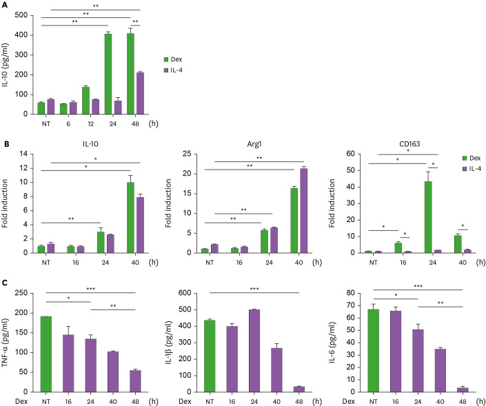 SOCS3 Attenuates Dexamethasone-Induced M2 Polarization by Down-Regulation of GILZ via ROS- and p38 MAPK-Dependent Pathways.