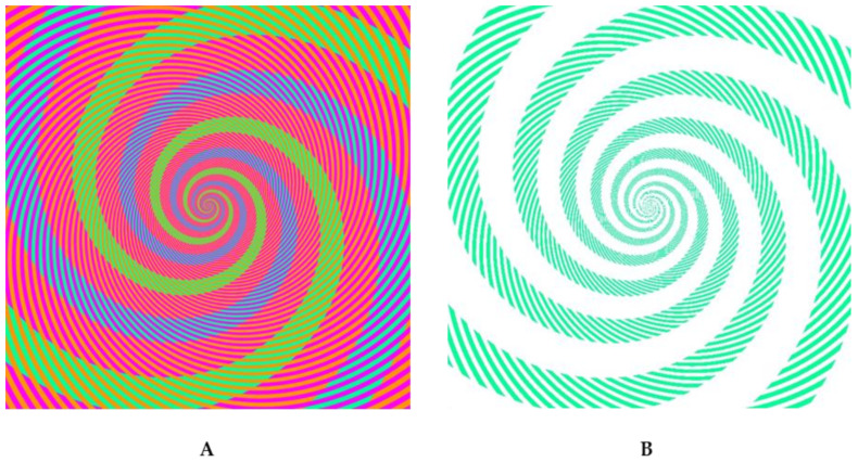 The Irreducibility of Vision: Gestalt, Crowding and the Fundamentals of Vision.