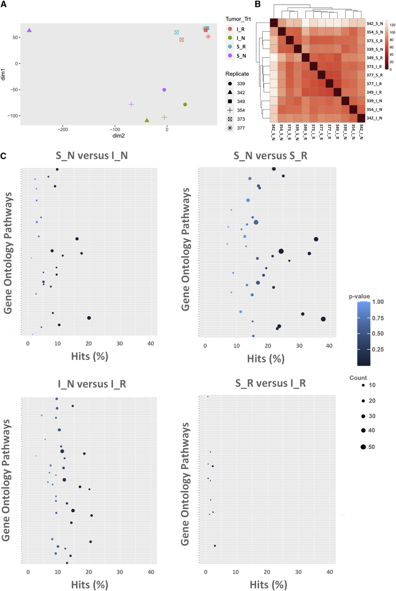 Spatiotemporal analysis of induced neural stem cell therapy to overcome advanced glioblastoma recurrence.