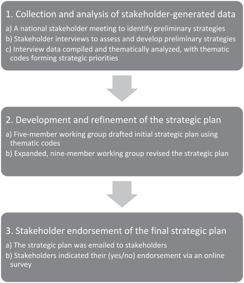 The development of a stakeholder-endorsed national strategic plan for advancing pain education across Canadian physiotherapy programs.