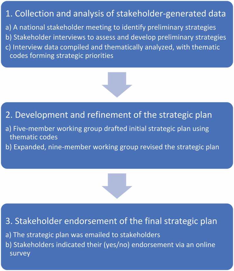 The development of a stakeholder-endorsed national strategic plan for advancing pain education across Canadian physiotherapy programs.