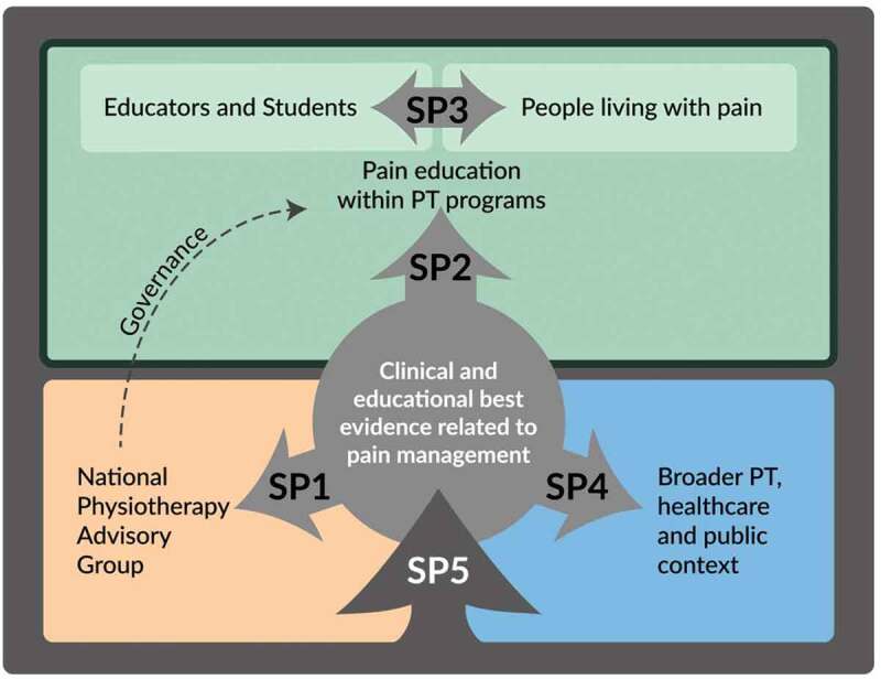 The development of a stakeholder-endorsed national strategic plan for advancing pain education across Canadian physiotherapy programs.