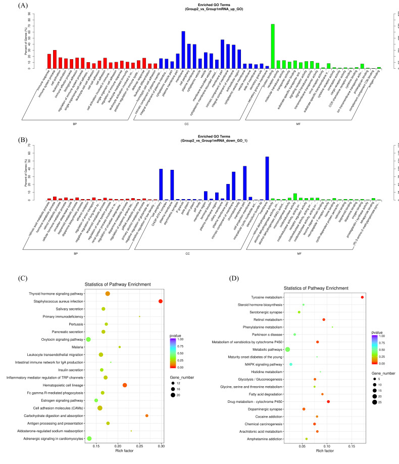 Roles of LINC01473 and CD74 in osteoblasts in multiple myeloma bone disease.