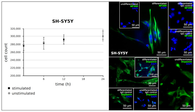 Influence of Simulated Deep Brain Stimulation on the Expression of Inflammatory Mediators by Human Central Nervous System Cells In Vitro.