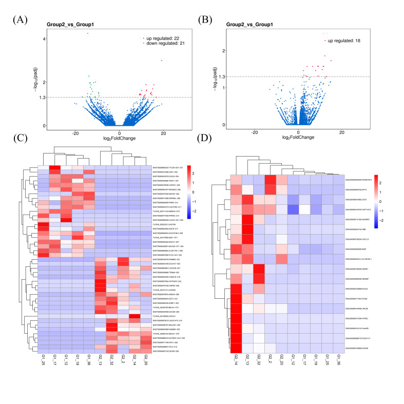 Roles of LINC01473 and CD74 in osteoblasts in multiple myeloma bone disease.