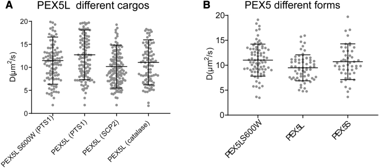 Diffusion and interaction dynamics of the cytosolic peroxisomal import receptor PEX5.