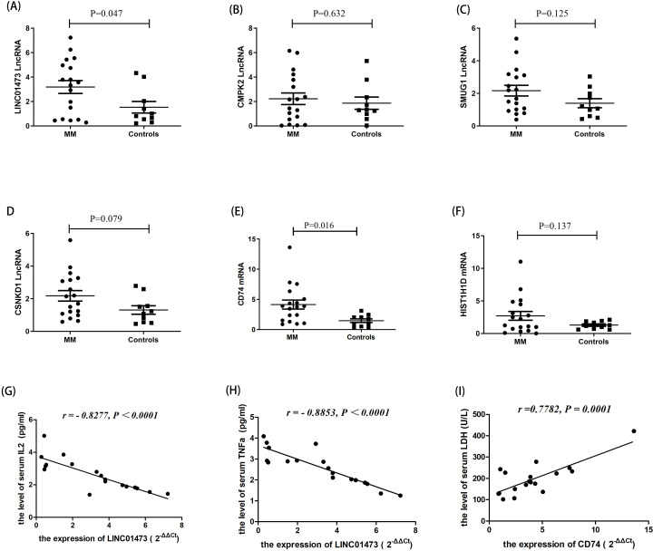 Roles of LINC01473 and CD74 in osteoblasts in multiple myeloma bone disease.