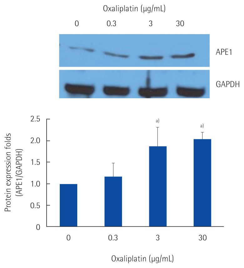 Apurinic/apyrimidinic endonuclease 1 is associated with poor prognosis after curative resection followed by adjuvant chemotherapy in patients with stage III colon cancer.