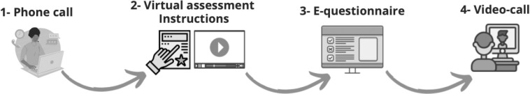 Feasibility of Virtual Assessment of Physical Frailty in Solid Organ Transplant Recipients: A Single Center, Observational Study.