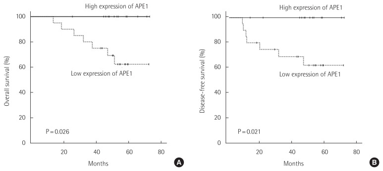 Apurinic/apyrimidinic endonuclease 1 is associated with poor prognosis after curative resection followed by adjuvant chemotherapy in patients with stage III colon cancer.