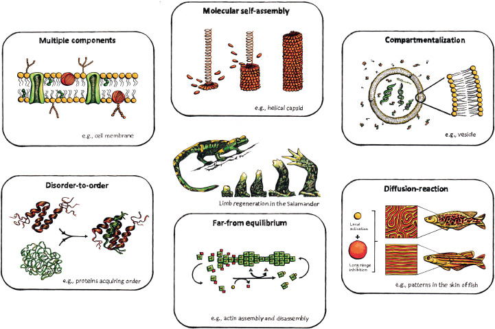 Embracing complexity in biomaterials design