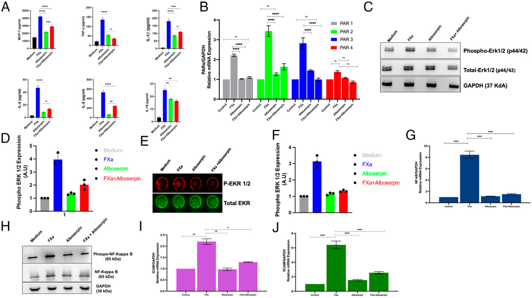 Alboserpin, the Main Salivary Anticoagulant from the Disease Vector <i>Aedes albopictus</i>, Displays Anti-FXa-PAR Signaling In Vitro and In Vivo.