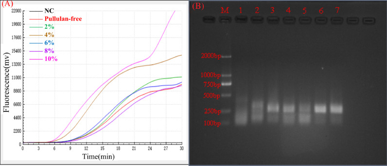 Enhancement of a recombinase-aided amplification assay using betaine and pullulan.
