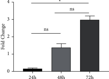 The Pathogenic Aspects of Human Parvovirus B19 NS1 Protein in Chronic and Inflammatory Diseases.