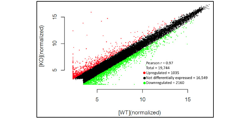 Differential Expression of Long Noncoding RNAs in Murine Myoblasts After Short Hairpin RNA-Mediated Dysferlin Silencing In Vitro: Microarray Profiling.