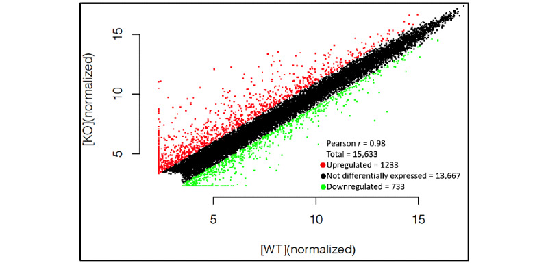 Differential Expression of Long Noncoding RNAs in Murine Myoblasts After Short Hairpin RNA-Mediated Dysferlin Silencing In Vitro: Microarray Profiling.