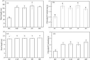 Agronomic effectiveness of recovered phosphate fertilizer produced from incinerated sewage sludge ash