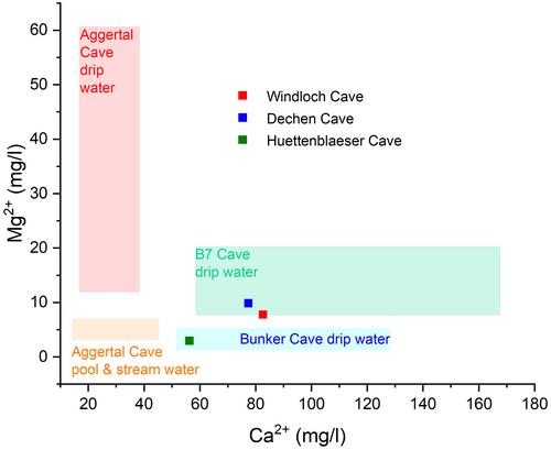 Petrographic and geochemical constraints on the formation of gravity-defying speleothems