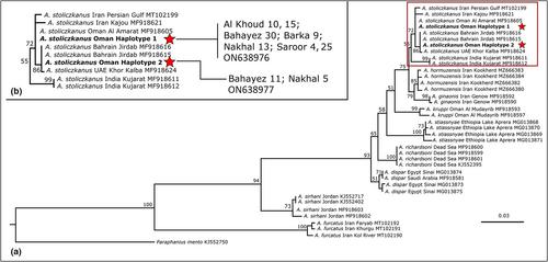 Possible links between phenotypic variability, habitats and connectivity in the killifish Aphaniops stoliczkanus in Northeast Oman